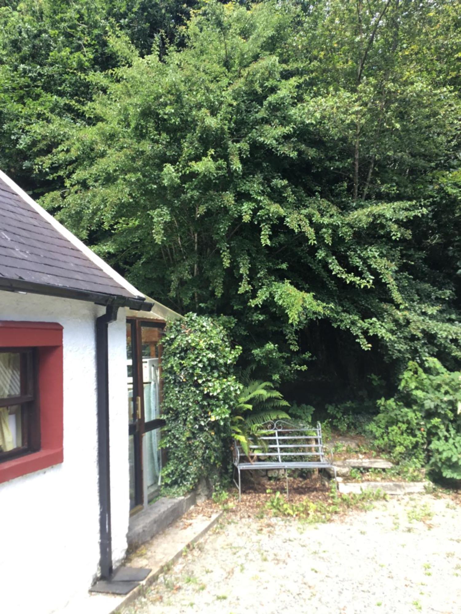 Traditional 18Th Century Converted Stables Wexford Exterior foto